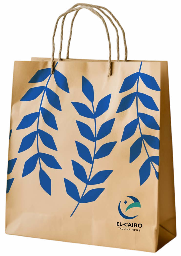 Shopping bags kraft