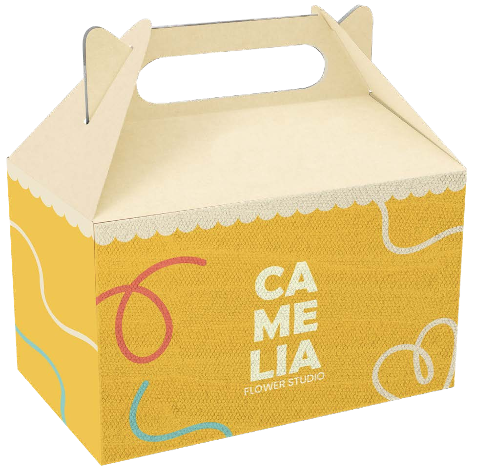 Cajas lonchera